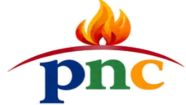 PETRONOVA CONSULTING emblem